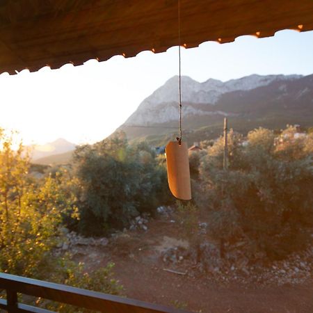 Vita Camping Otel Geyikbayiri 외부 사진